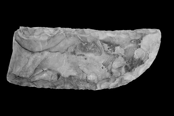 Ceremonial Flint Knife, Quibell 