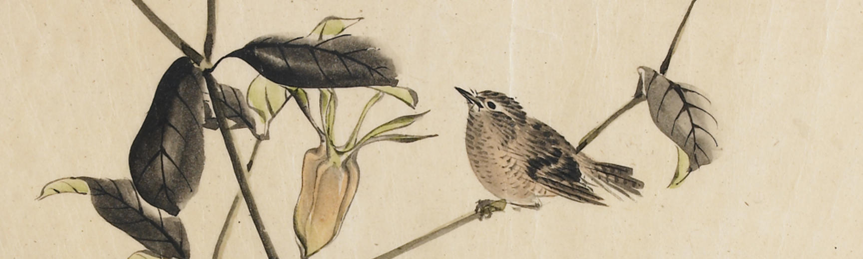 Sparrow on an akebi plant, by Kunii Obun